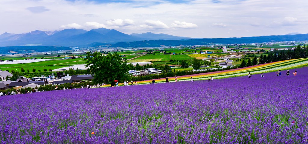 furano